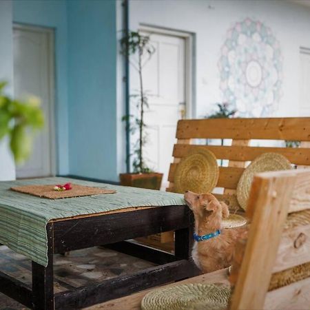 Ananda Tree House Eco Homestay 加德满都 外观 照片