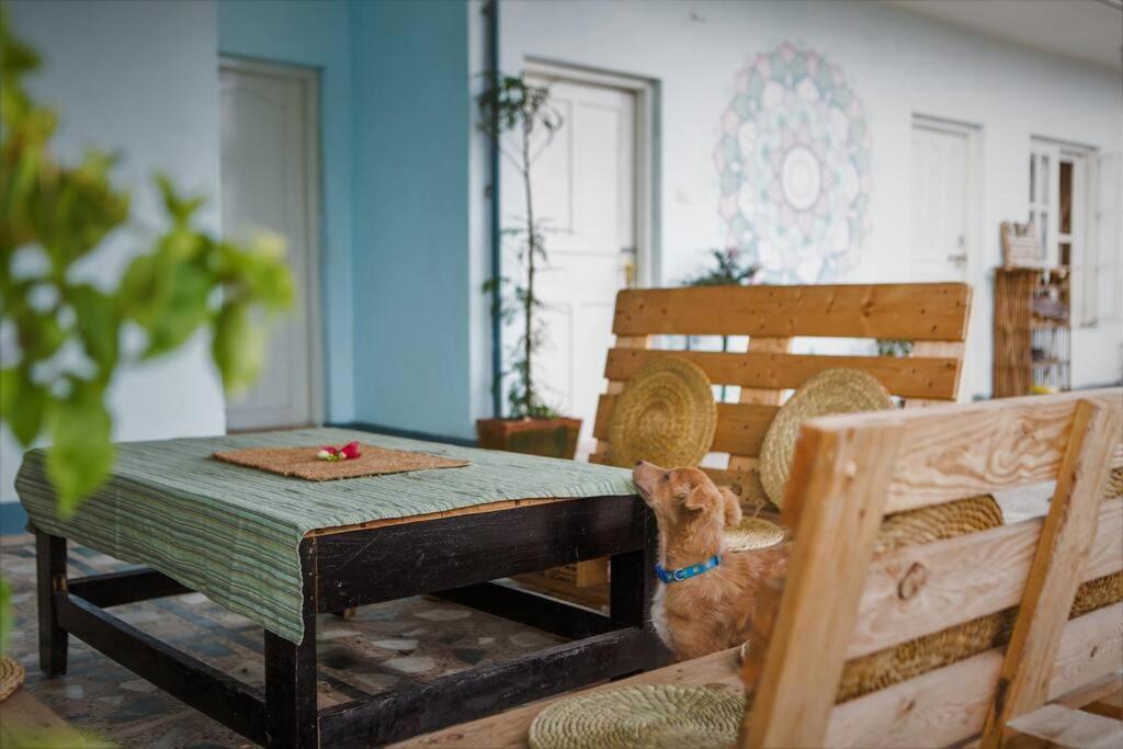 Ananda Tree House Eco Homestay 加德满都 外观 照片
