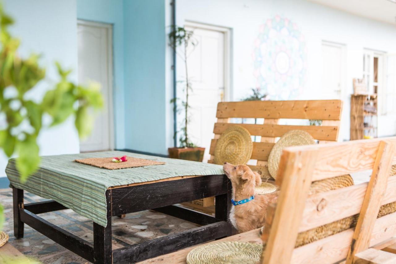 Ananda Tree House Eco Homestay 加德满都 外观 照片